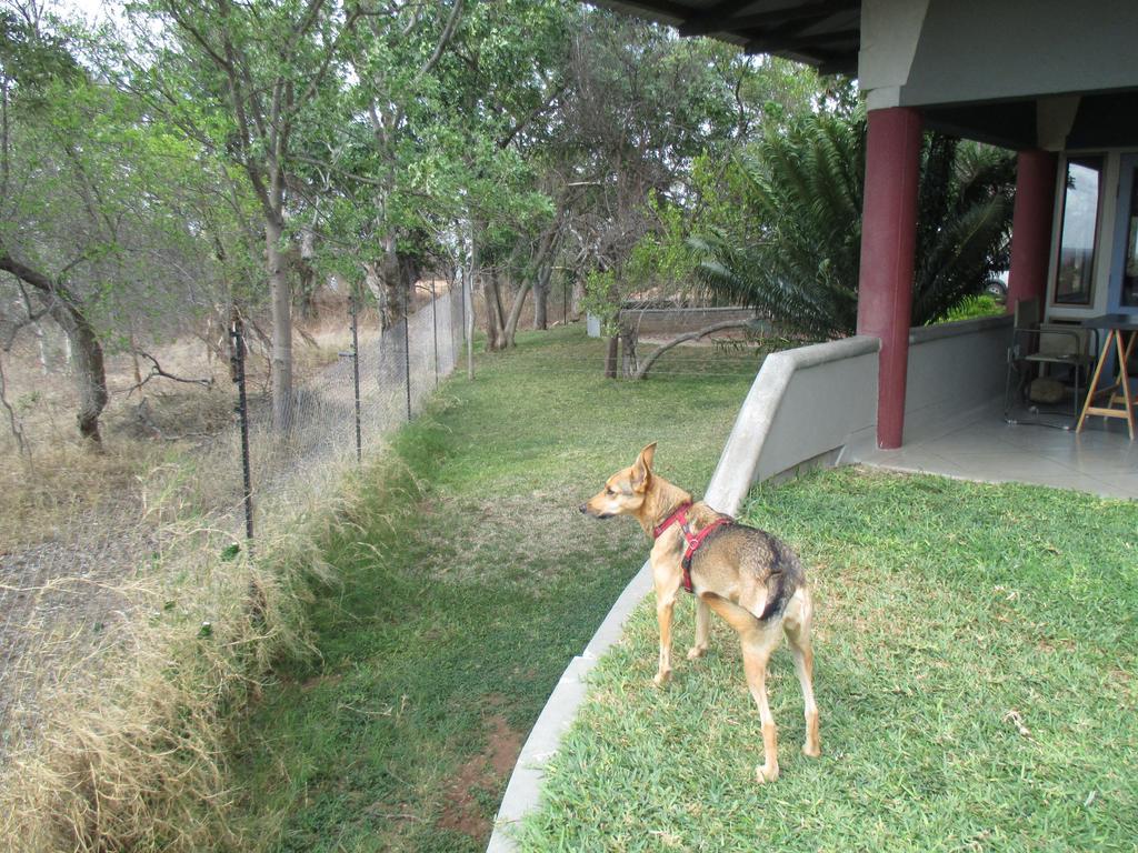 פאלאבורווה Tingala Lodge - Bed In The Bush מראה חיצוני תמונה