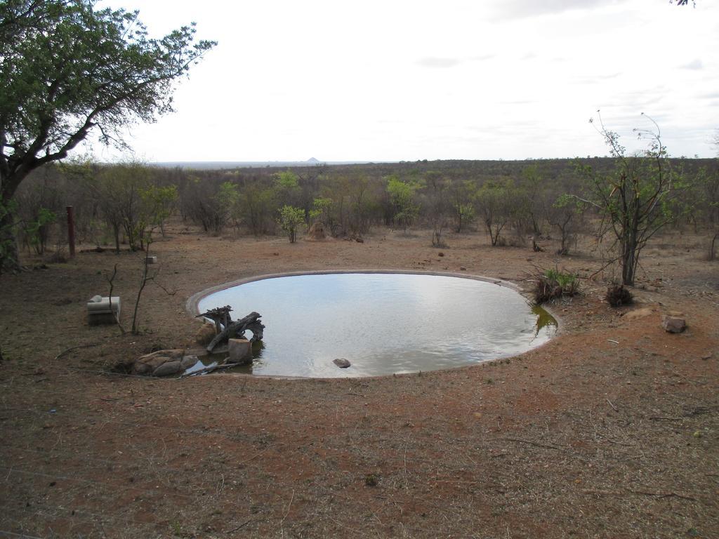 פאלאבורווה Tingala Lodge - Bed In The Bush מראה חיצוני תמונה