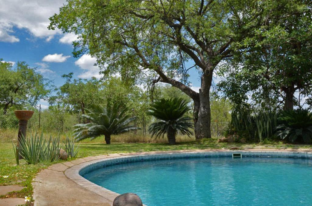 פאלאבורווה Tingala Lodge - Bed In The Bush מראה חיצוני תמונה